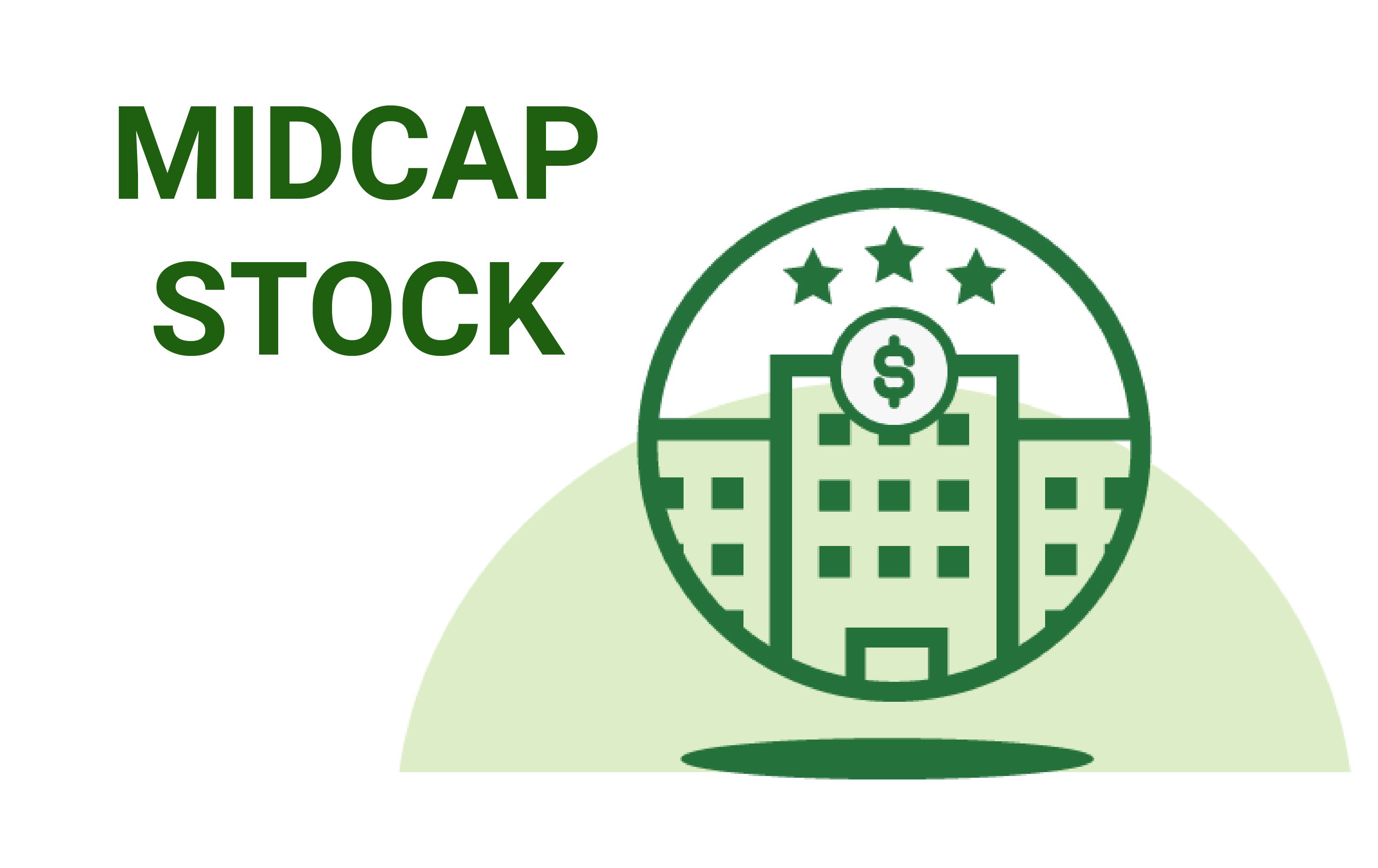 Midcap Stock (1)