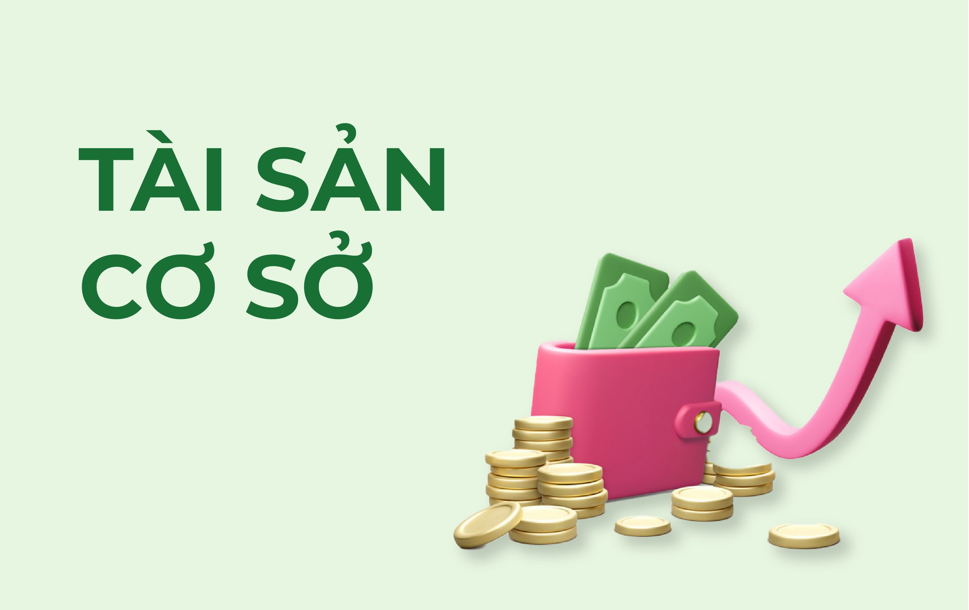 13 Tài Sản Cơ Sở