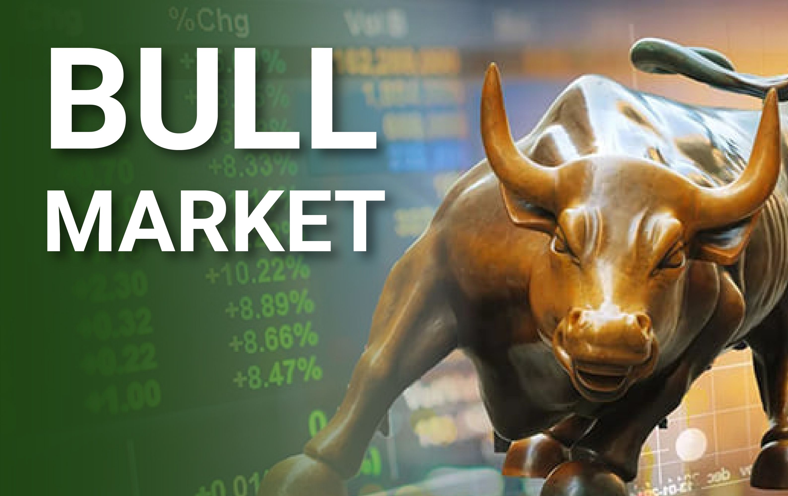 Bull Market