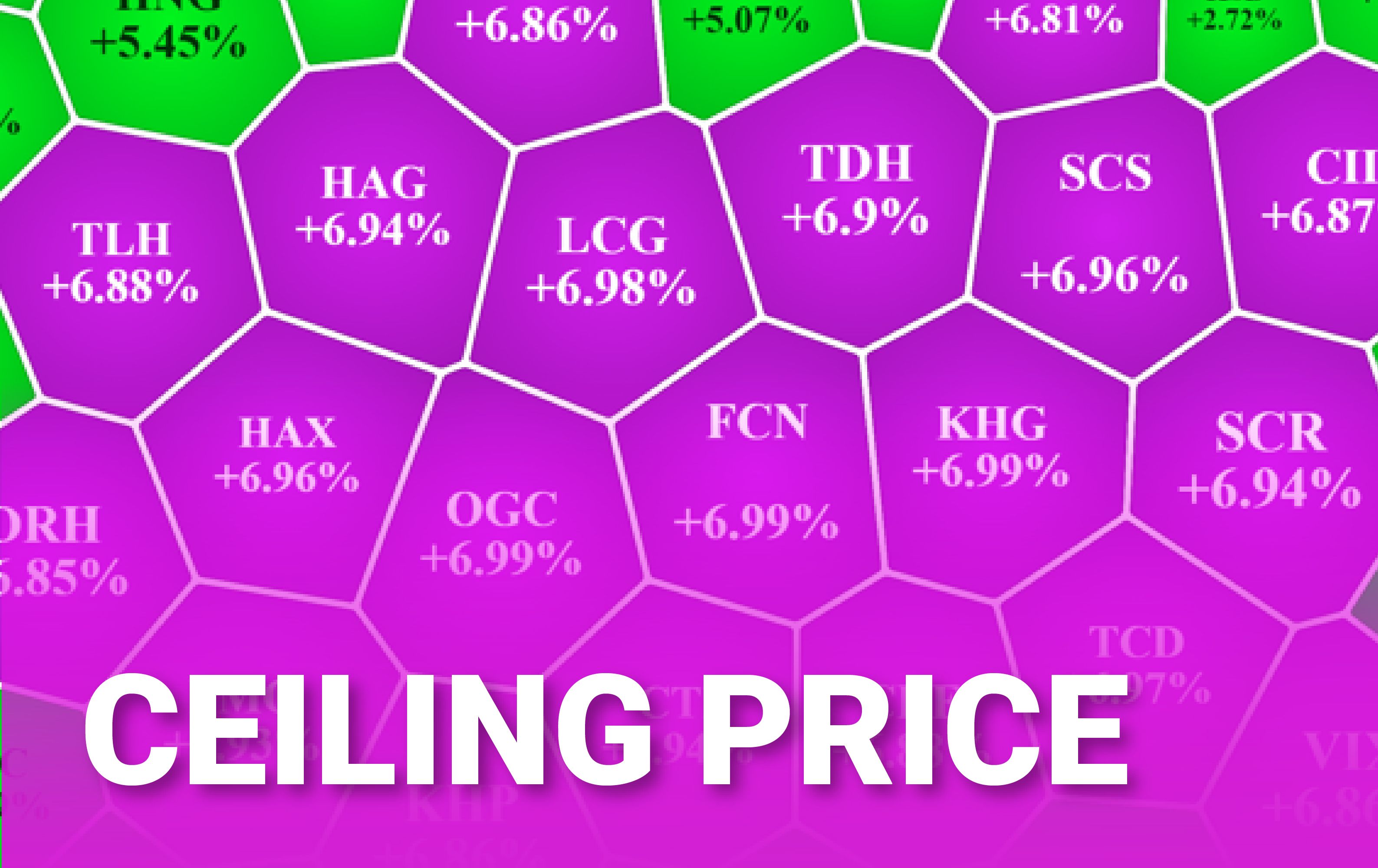 Ceiling Price