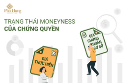 Thumbnail CÁC TRẠNG THÁI CỦA CHỨNG QUYỀN