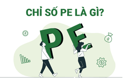 Thumbnail CHỈ SỐ PE LÀ GÌ ? Ý NGHĨA CỦA CHỈ SỐ PE TRONG ĐẦU TƯ